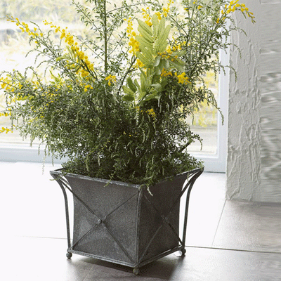  green-golden-gray color combination-plant pot 