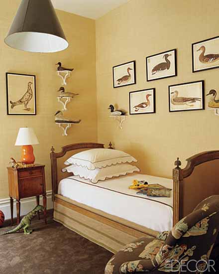 photo of birds in wooden frame and bird ornaments on wall shelves