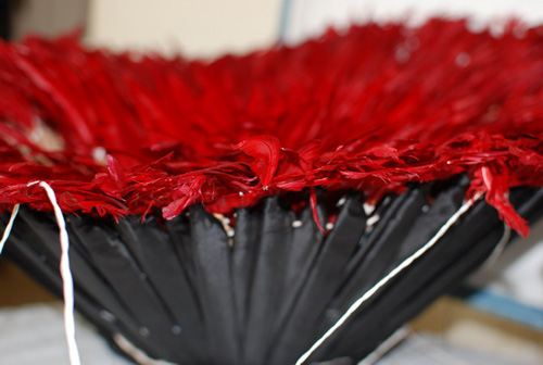 red bird feathers used for craft ideas and making juju hats for wall decoration