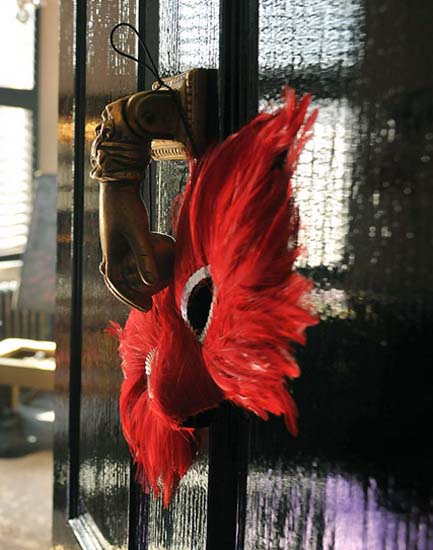 red feathers decorations for a Venetian mask on the modern interior design uses