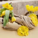 yellow tulips and carnations decorated with driftwood make a beautiful table decoration
