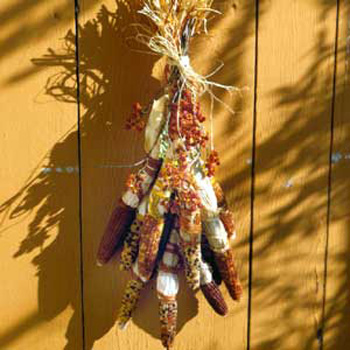 fall-decorating-ideas-thanksgiving-halloween-yard-decorations (10)