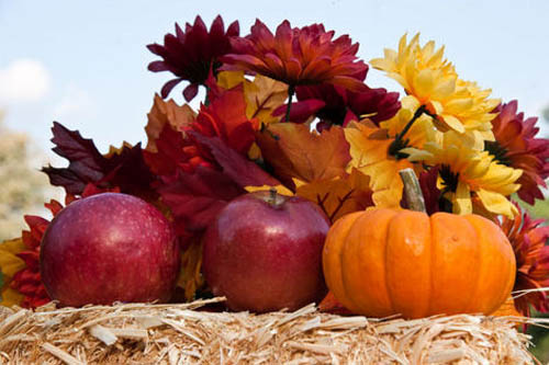 fall-decorating-ideas-thanksgiving-halloween-yard-decorations (14)