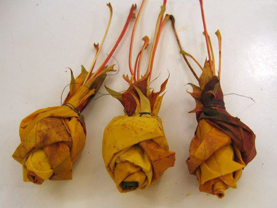 fall ideas for thanksgiving table decorating, centerpiece ideas with a rose bouquet