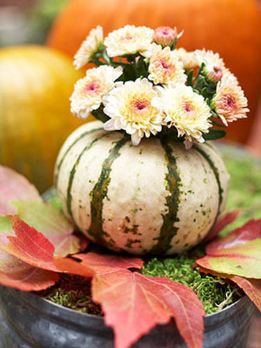 pink-white mothers in Pumpkin Vase with green stripes