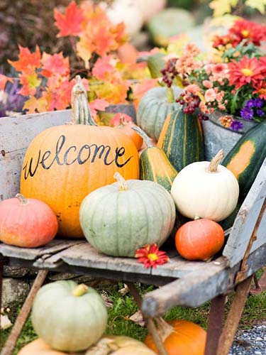  welcome halloween house and yard decorations of colorful pumpkins and gourds 
