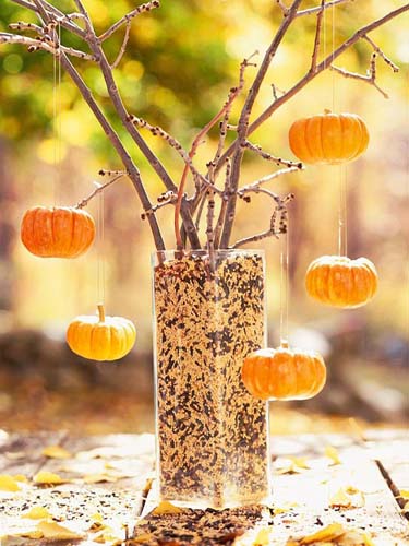 Mini pumokins and sunflower seeds are cheap Halloween decorations in black and orange color combination