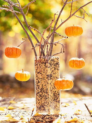 mini pumokins and sunflower seed are cheap Halloween decorations in black and orange color combination
