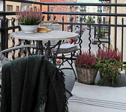 lavender and pink heather flower for home decorating ideas