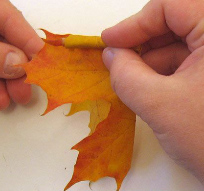 making floral centerpieces with maple leaves