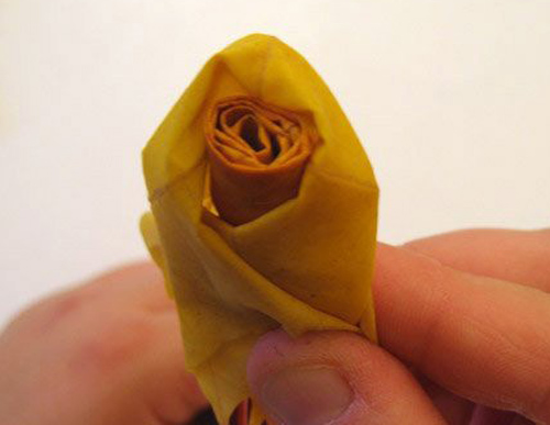 Thanksgiving craft ideas for children and adults and autumn decoration