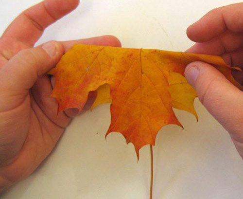 Thanksgiving crafts with maple leaves for table decorations