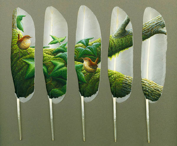 feathers decorations and paintings on swan feathers for wall decorating