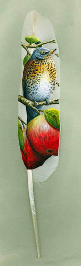apples and bird painting on a swan feather