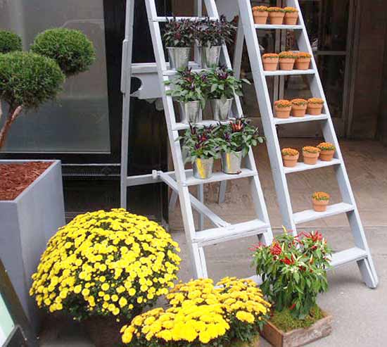 conductors with green plants for garden decoration