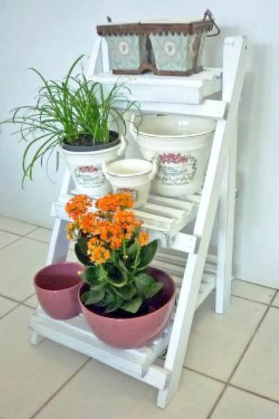 white ladder with blooming plants