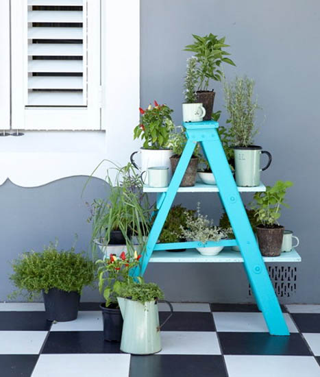 blue conductor with shelves for plants