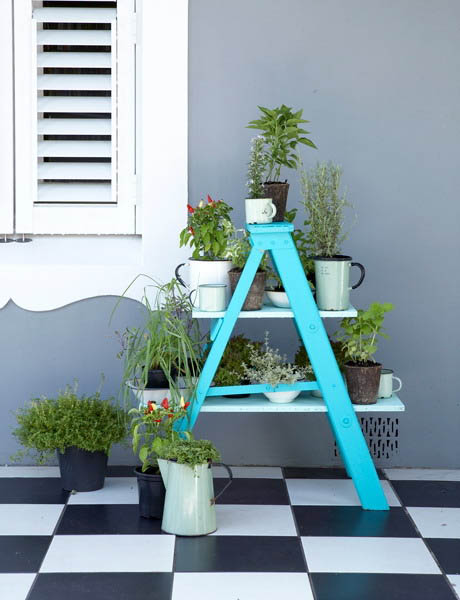 blue ladder with plants for room decorating