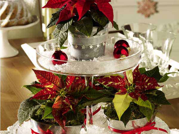 christmas table decorations 17 ideas for holiday table how to take care of christmas poinsettia