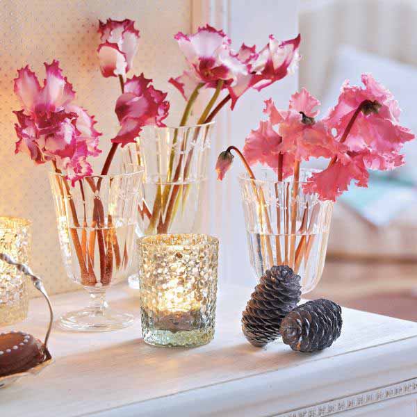 cyclamen christmas table decorations and ideas for new years eve party