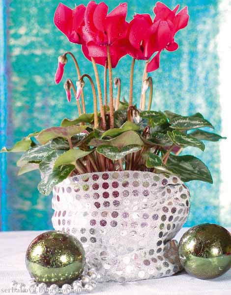 New-Years Eve Christmas table decoration ideas (2)  cyclamen table centerpiece ideas