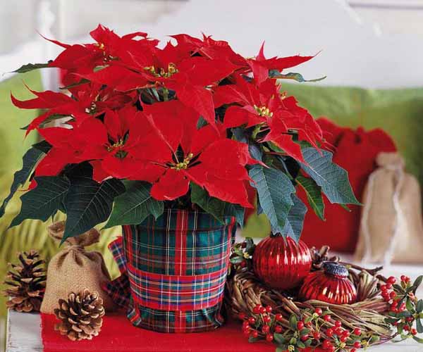 christmas table decorations 17 ideas for holiday table christmas table decorations 17 ideas for holiday table