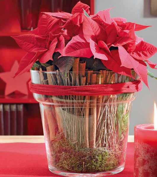 Poinsettia Christmas table centerpiece with vanilla sticks