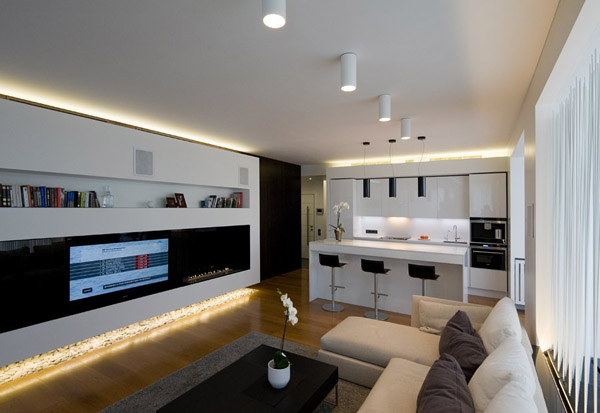 contemporary apartment ideas