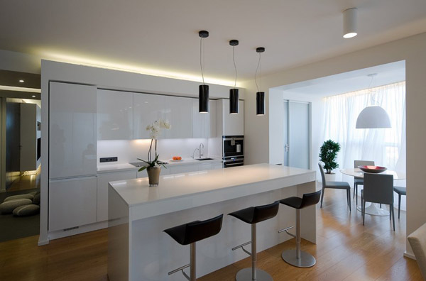 Modern Kitchen Design in Black and White