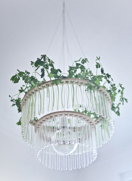 glass chandelier with houseplants