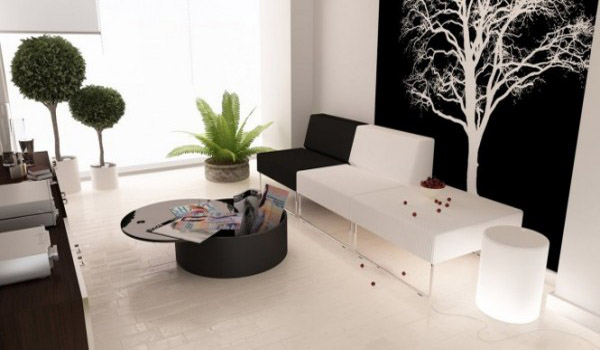black and white decorating with green indoor plants