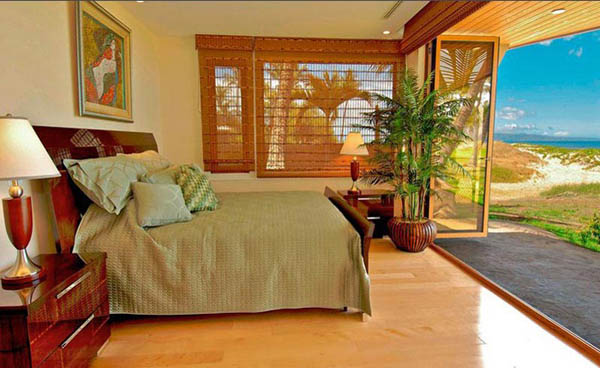 houseplants and tropical decor theme