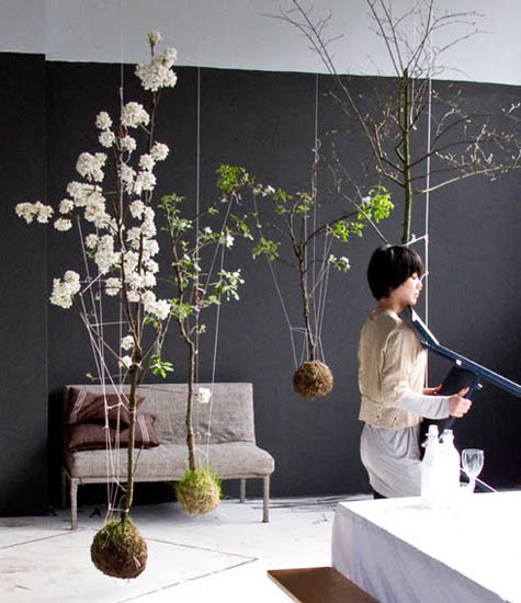 20 Ideas for Spring Home Decorating with Blooming Branches
