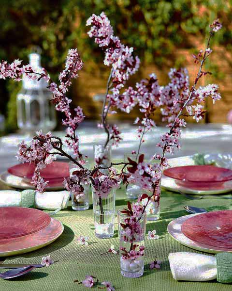 Flowering Branches In Glass Vase Flowering Branches In Glass Vase