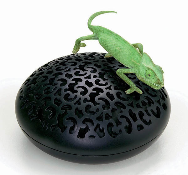 Tropical Decor theme interior decoration (9)  Iguana Vase