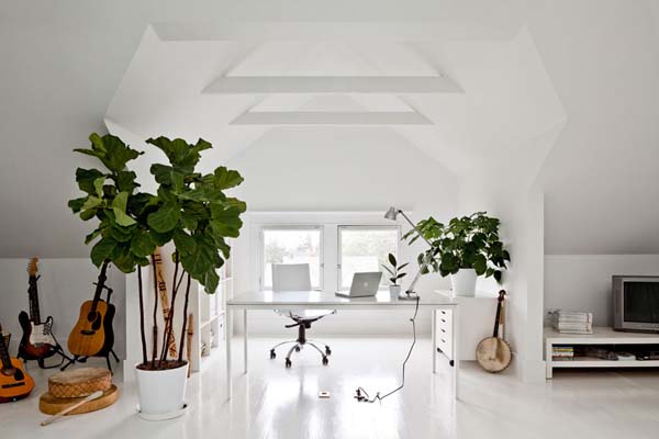  white decoration, wooden furniture, greenhouse plants 