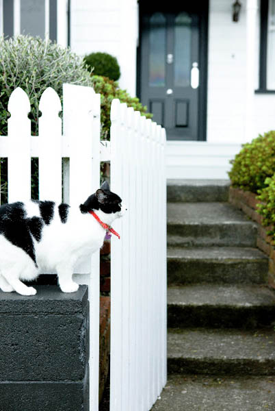 white fence and house interior