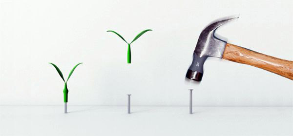 modern wall decorations