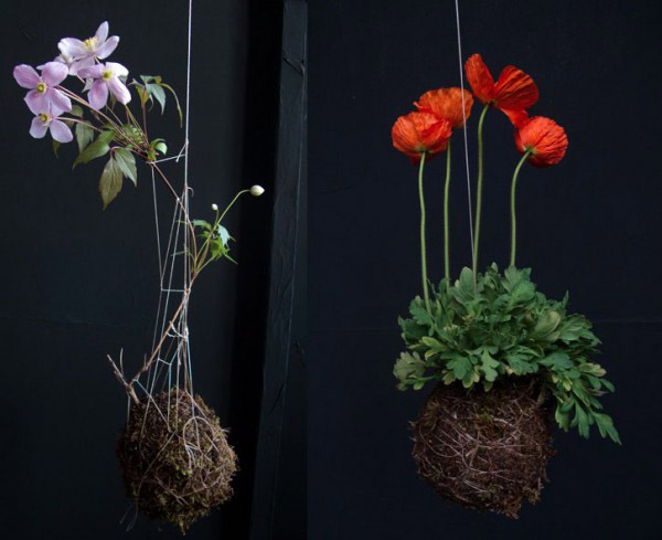 hanging container with flowering plants
