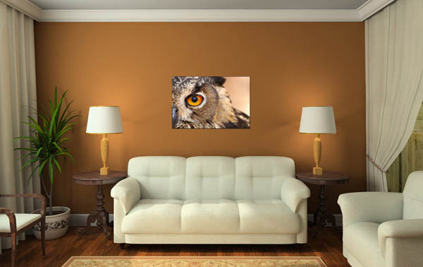 Owl Decor For Living Room
