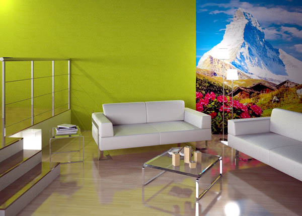 photograph print for living room decorating