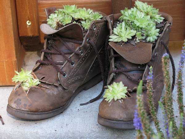 boots with growing plants