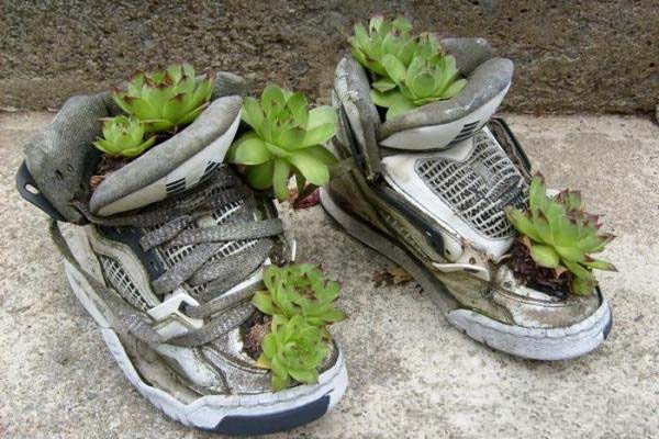 sneakers with small plants