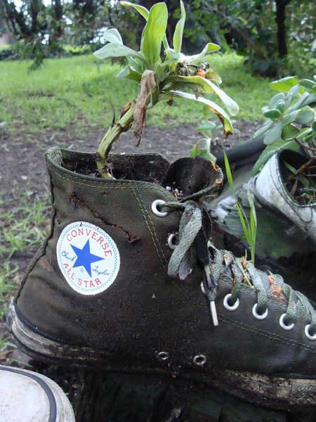 black boots with plants