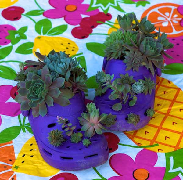 plastic shoes with small plants