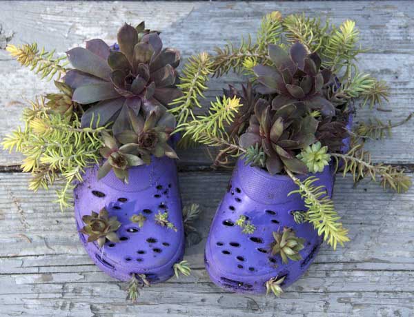 small plants growing in plastic shoes handmade garden decorations and creative front yard or backyard ideas - Garden Decorations small plants growing in plastic shoes handmade garden decorations and creative front yard or backyard ideas - Garden Decorations