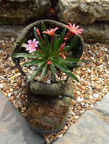 recycling boots for plant containers