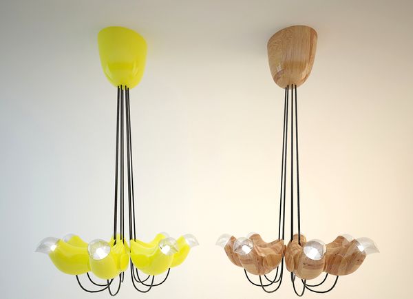  ceiling lamps with bird lamps 