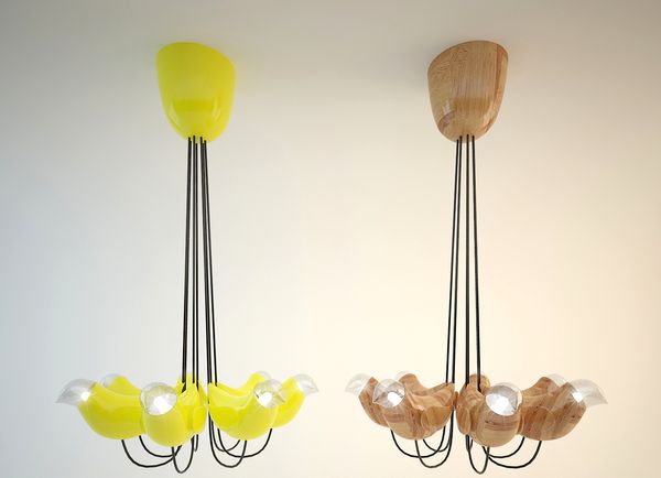 ceiling lights with bird bulbs