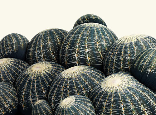 ottomans and footrests made of fabric with cactus print